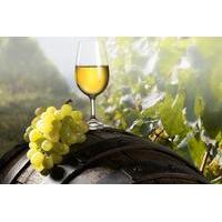 private shore excursion ancient ephesus and wine tasting tour from kus ...