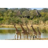 Private Tshukudu and Khamai Inte...