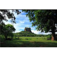 private day tour sigiriya rock and dambulla cave temple tour from colo ...
