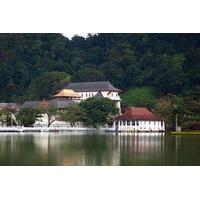 Private Tour: Kandy Day Tour from Colombo