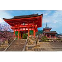 Private Scholar-led Kyoto Walking Tour: Shintoism and Buddhism in Japan