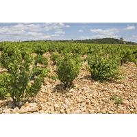 private rhone valley wine tour from avignon chateauneuf du pape and ta ...