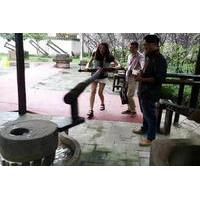 Private Day Tour: Panda Breeding & Research Base and Cooking Lesson at Sichuan Cuisine Museum