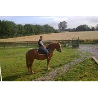 private tour normandy thoroughbred horse studs with optional horseback ...