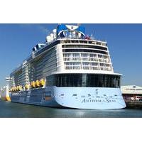 Private Port Transfer: Central London to Southampton Cruise Terminals