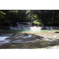 Private YS Falls Tour from Montego Bay