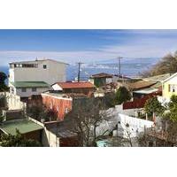 Private Tour: Isla Negra Including Museum from Valparaiso