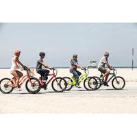 Private Bike Ride or Bike Excursion : Electric Or Traditional Guided Bike Rides In Savannah