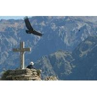 Private Tour: 2-Day Colca Canyon from Arequipa