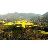 private tour huanglongxi ancient town and countryside trekking from ch ...