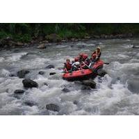 Private Tour of Progo River Rafting and Borobudur Temple Complex