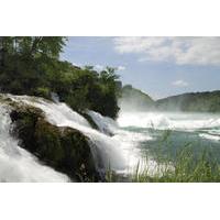 Private Tour: Rhine Falls Tour from Zurich