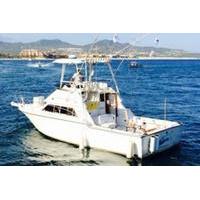 Private Tour: Sport Fishing in Cabo San Lucas