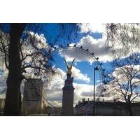 private walking tour wonders of whitehall in london