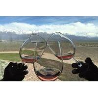 Private Tour: Lujan de Cuyo Wine Region from Mendoza