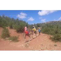 Private Day Trip from Marrakech: Camel Ride and Hike in the High Atlas Mountains