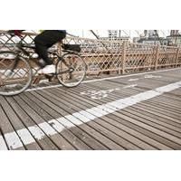 Private Brooklyn Bridge Guided Bike Tour