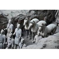 private customized day tour of xian terracotta warriors and horses mus ...