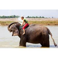 Private Eco-Tour: Crocodile Watching, Spice Plantation and Elephant Experience in Goa