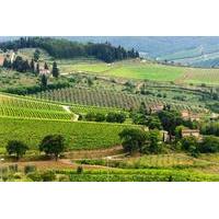 Private Tour: Chianti Region Round Trip Experience from Florence