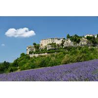 provence lavender small group half day trip