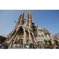 private tour barcelona full day sightseeing tour