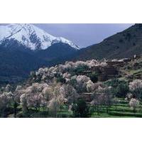 Private Day Trip: Atlas Mountains, Ourika Valley, Berber Village, Waterfall, Takerkoust Lake from Marrakech