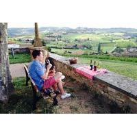 private tour half day beaujolais tour with wine tasting from lyon
