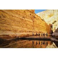 Private Tour: Highlights of the Negev From Jerusalem