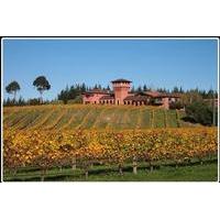 private tour marlborough winter wine and scenic tour from picton