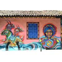 private bogot street art tour