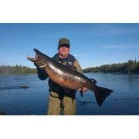 Private Salmon Fishing Trip in Muonio