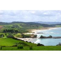 Private Day Trip to Tawharanui Regional Park from Auckland