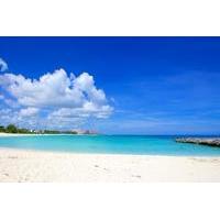 Private Half-Day Sighseeing and Beach Charter in Nassau