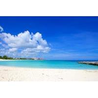 private half day sighseeing and beach charter in nassau