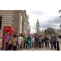 Private Walking Tour: Highlights of London with a Blue Badge Guide
