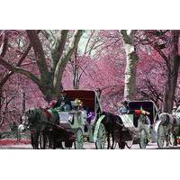 Private Carriage Ride in Central Park