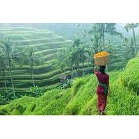Private Half-Day Ubud Art and Culture Tour