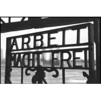 private day tour from prague to dachau concentration camp memorial sit ...