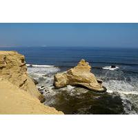 Private Full Day Tour of Paracas from San Martin Port