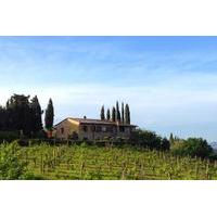 Private Winery Tour with Wine and Olive Oil Tasting from San Gimignano