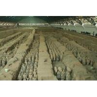 private half day tour of terracotta warriors and horses museum from xi ...