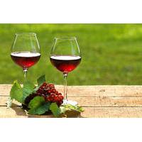 private wine tasting tour from makarska riviera to peljesac peninsula