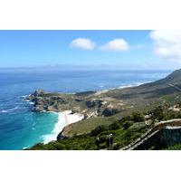 private tour cape peninsula and boulders beach penguins day trip from  ...