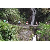 Private Bicycle Tour of Jamaica\'s Blue Mountains from Montego Bay