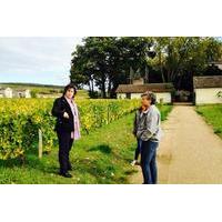 private tour burgundy day tour with wine tasting from lyon