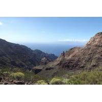 Private Tour of The Real Tenerife