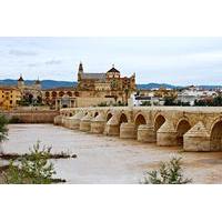 Private Guided City Tour of Cordoba