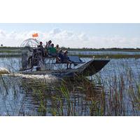 Private Tour: Florida Everglades Airboat Ride and Wildlife Adventure