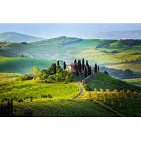 Private Day Tour: Tuscany Countr...